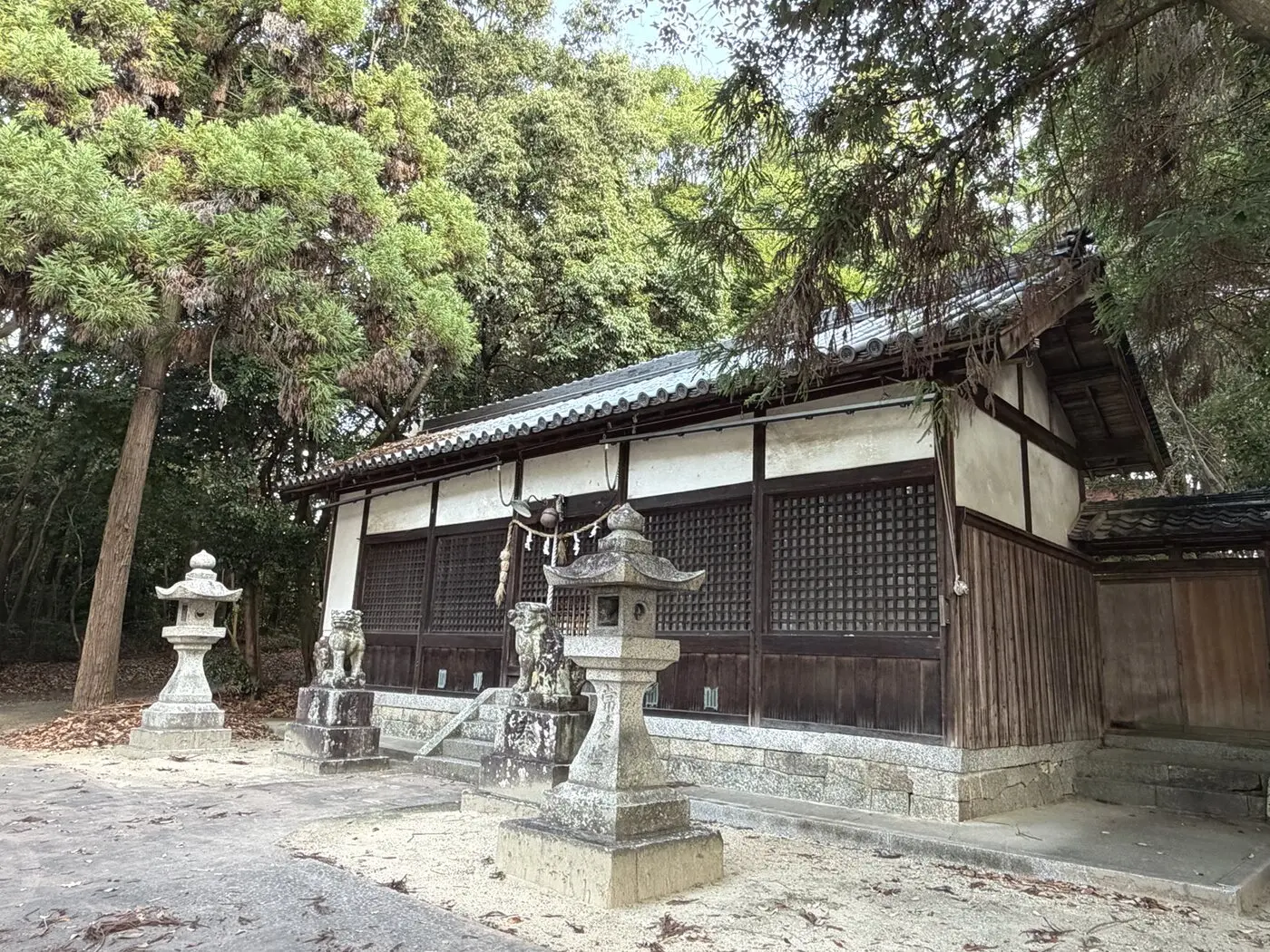 木々と石灯籠に囲まれた讃岐神社の社殿