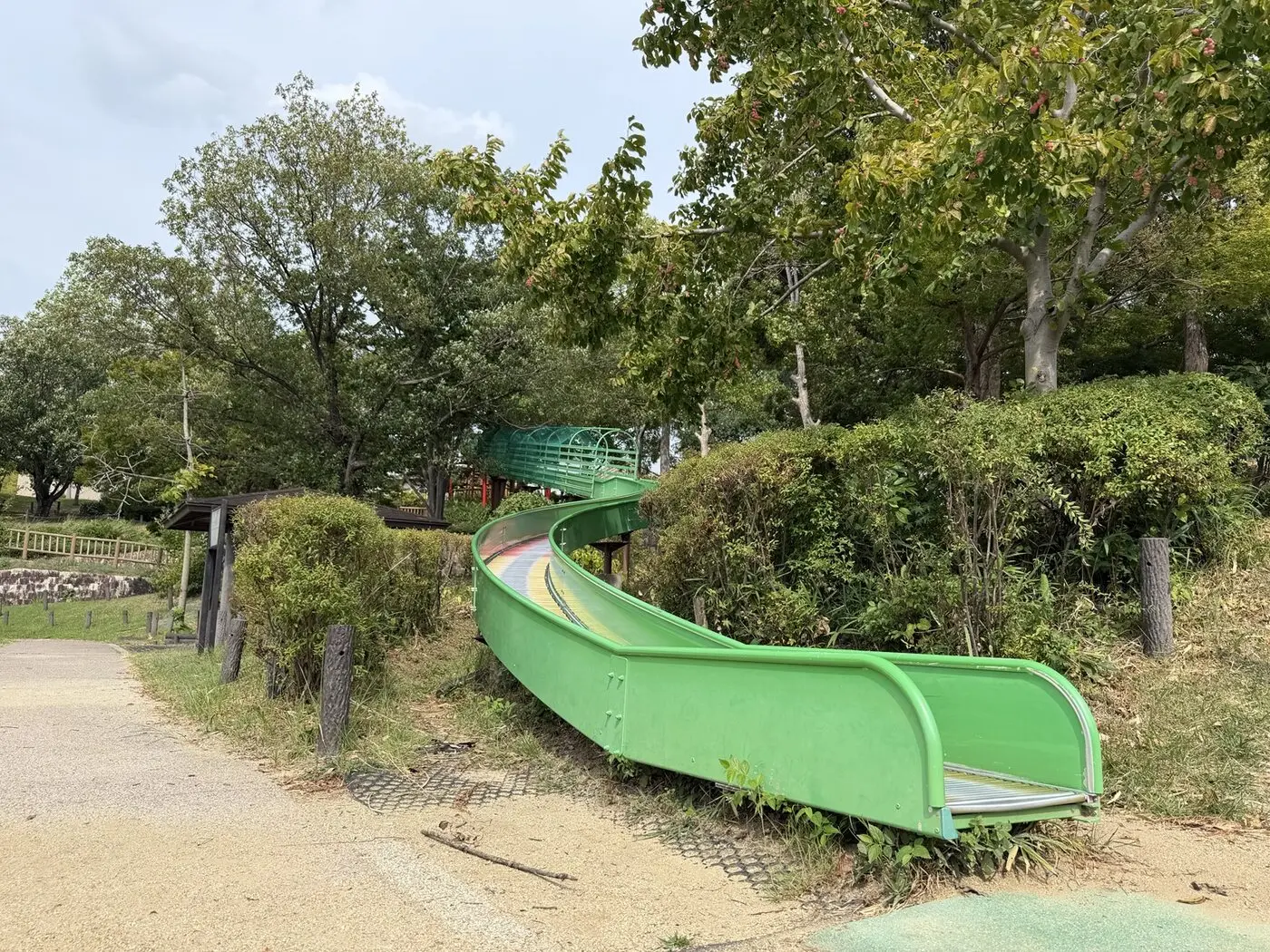 丘の斜面に沿って伸びる緑色のローラー滑り台
