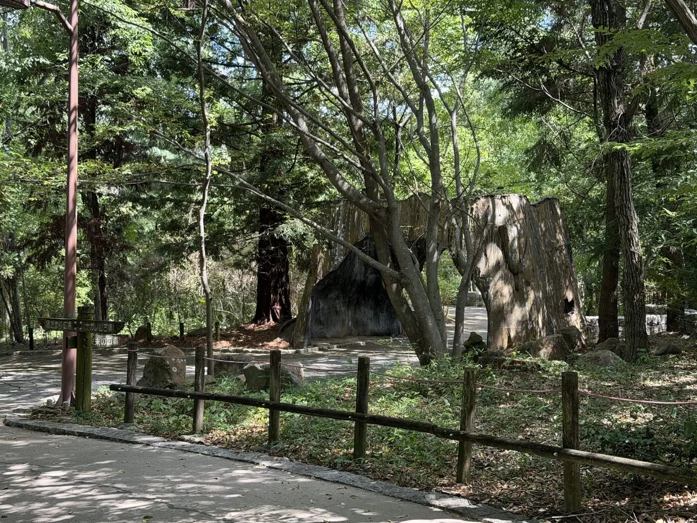 木漏れ日が差す馬見丘陵公園の森林歩道