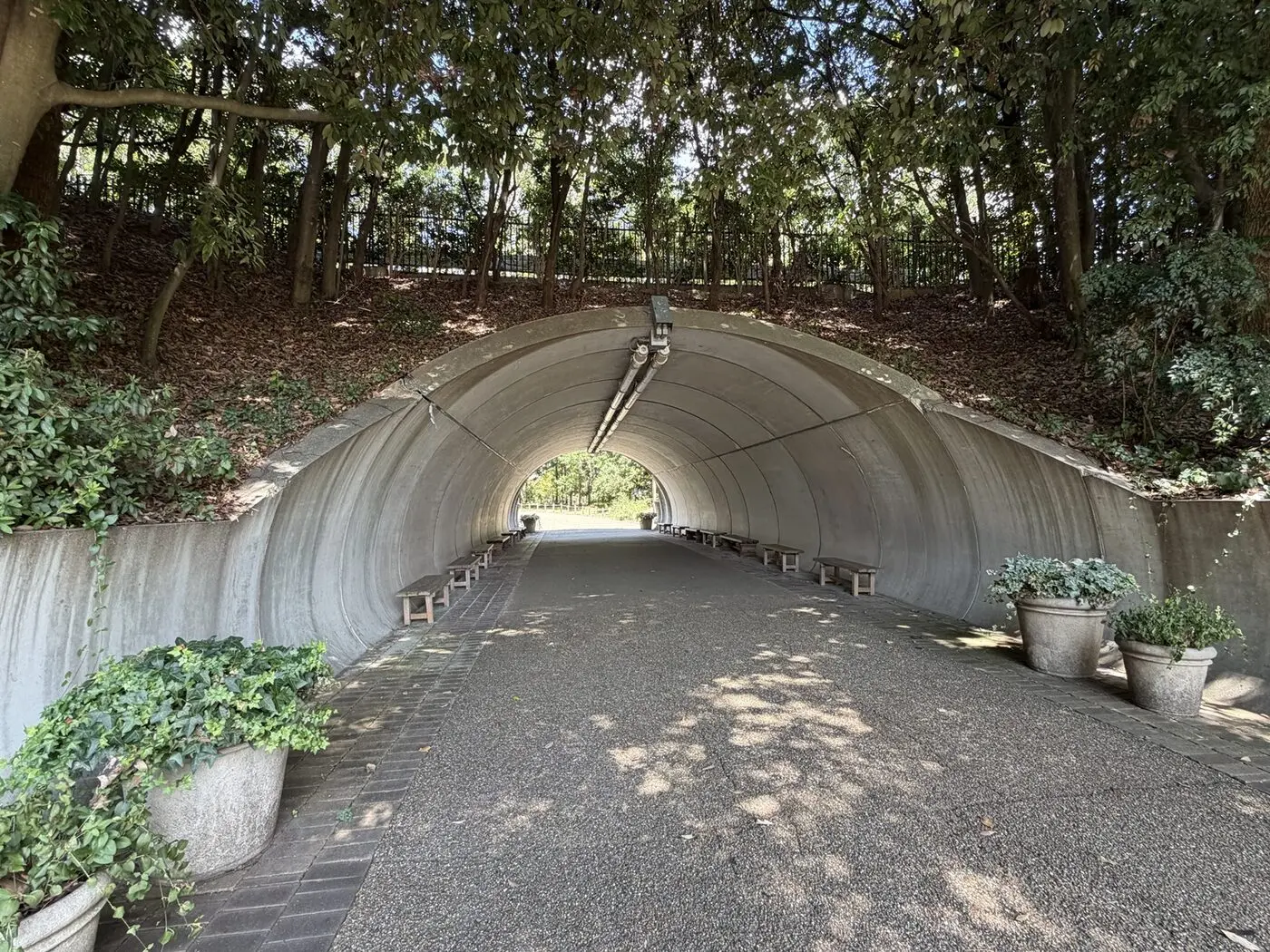木立の下を通り抜ける馬見丘陵公園のトンネル状の園路