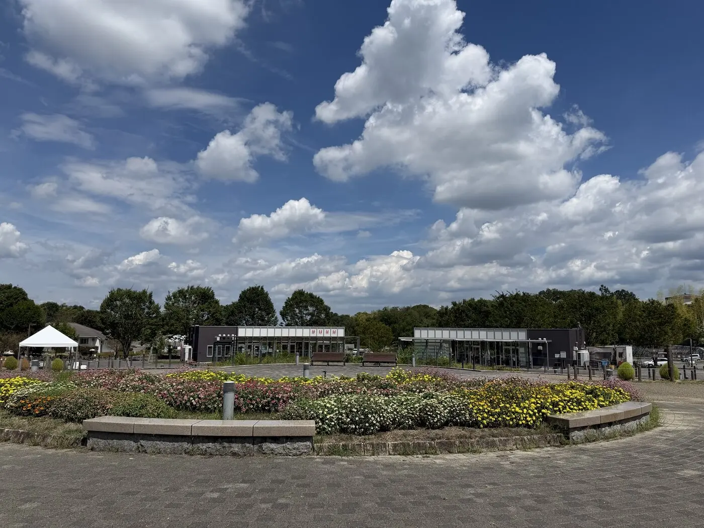 青空の下、花壇の向こうに花見茶屋が見える馬見丘陵公園