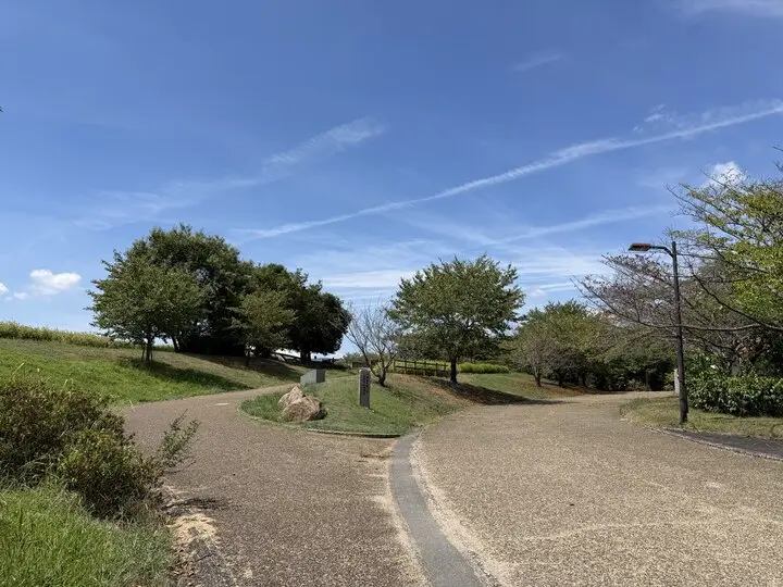 青空の下で二手に分かれる馬見丘陵公園の園路