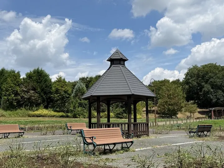 夏雲とあずまやが印象的な馬見丘陵公園の風景